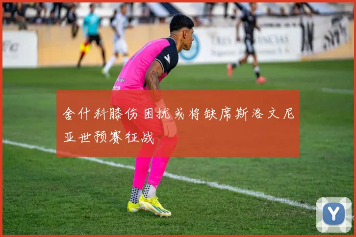 舍什科膝伤困扰或将缺席斯洛文尼亚世预赛征战