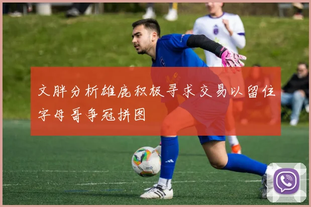 文胖分析雄鹿积极寻求交易以留住字母哥争冠拼图