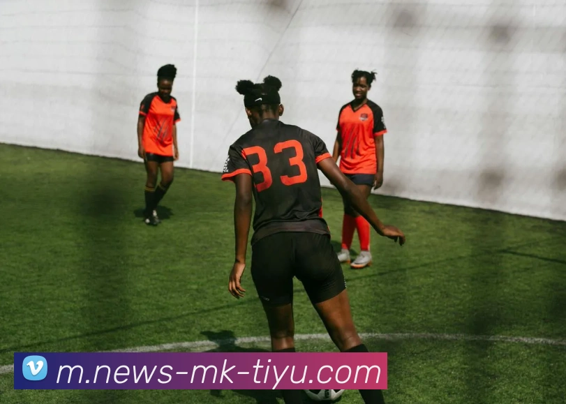 MK体育APP 封面图